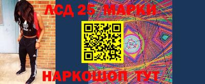 прущие грибы Пыть-Ях