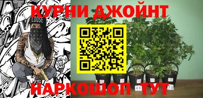 прущие грибы Пыть-Ях