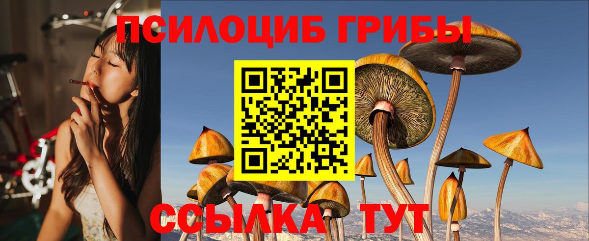 Псилоцибиновые грибы ЛСД  Вход с VPN  Самара  Псилоцибиновые грибы Psilocybine cubensis 
